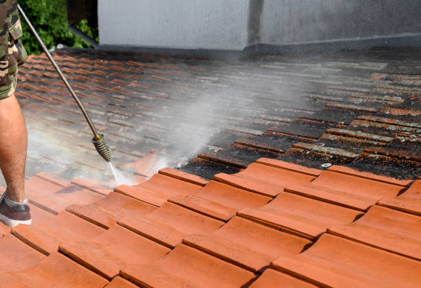 Best House Pressure Washing  in East Niles, CA