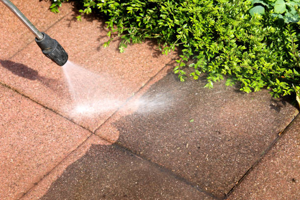 Best Affordable Power Washing  in East Niles, CA