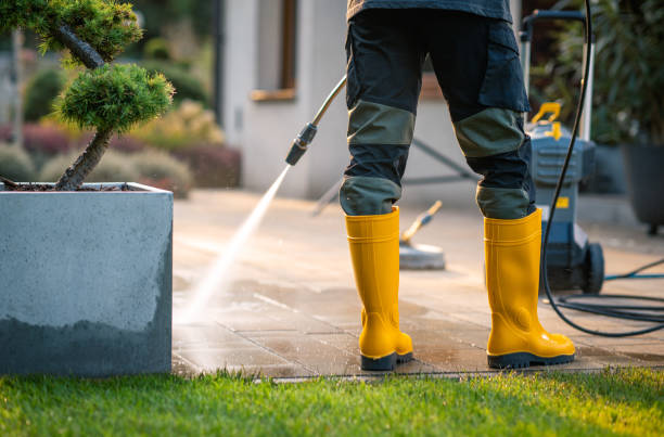 Best Affordable Pressure Washing  in East Niles, CA